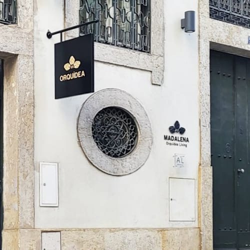 Orquidea, Lisboa