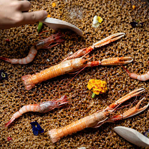 Maysi Barcelona, Barcelona