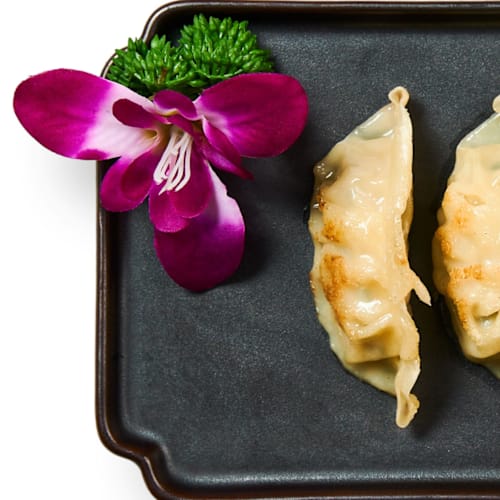 Li's Palace, Den Haag