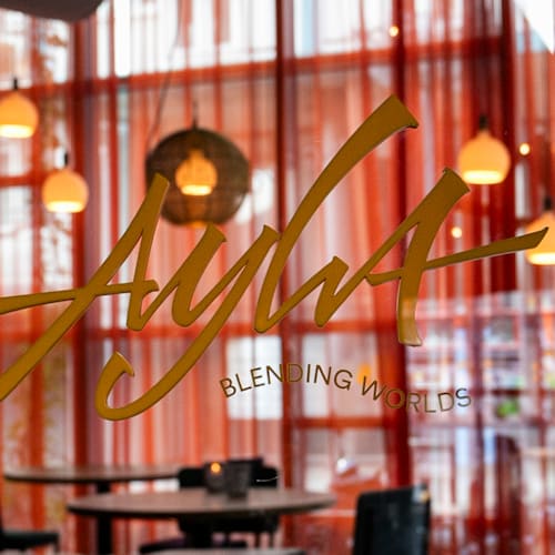 Ayla, Rotterdam