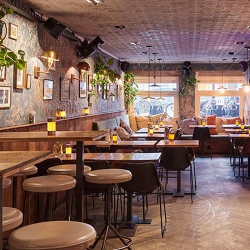 Cafe Cha Cha, Amsterdam