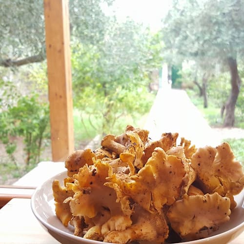 Singola Ristorante Naturale, Modica
