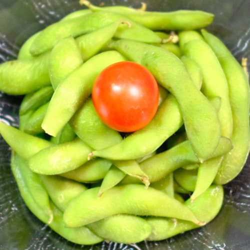 Le Jardin Secret, Madrid