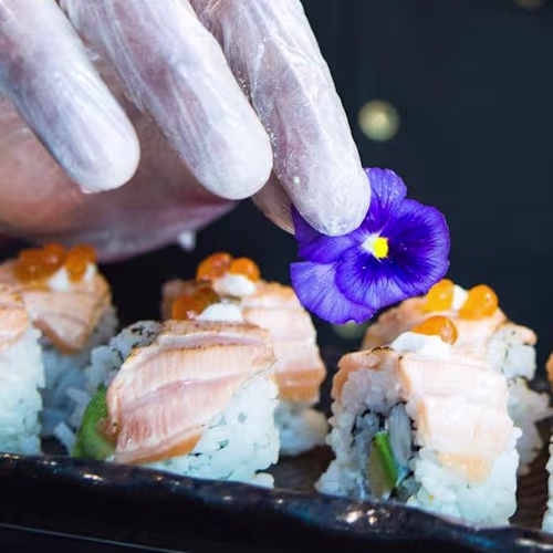 Chibi Kokoro, Barcelona