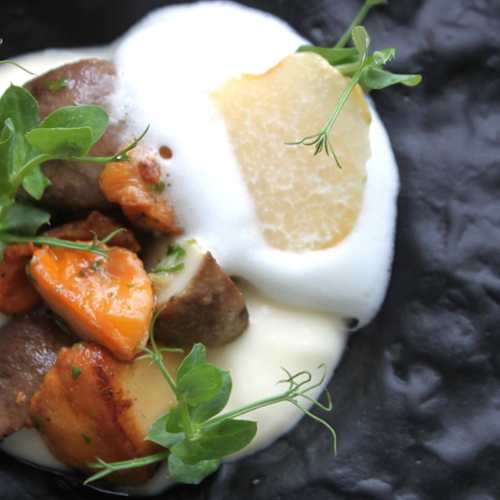 Piezas tiernas de carne con champiñones salteados, acompañadas de un puré cremoso y espuma de hierbas, decoradas con brotes de guisante.