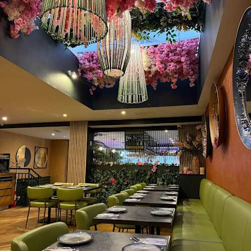 menus-2026-olive-tree-turkish-mediterranean-restaurant-and-bar-in