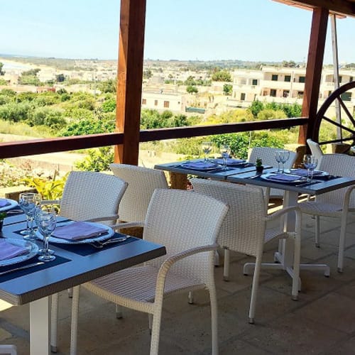 Area esterna di un ristorante con vista panoramica, tavoli elegantemente apparecchiati e piante decorative.