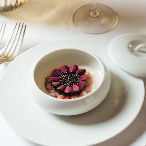 Plat délicat avec une base crémeuse, surmonté d'une fleur violette artistique et entouré d'une compote de fruits subtile, offrant une touche de douceur et de contraste.