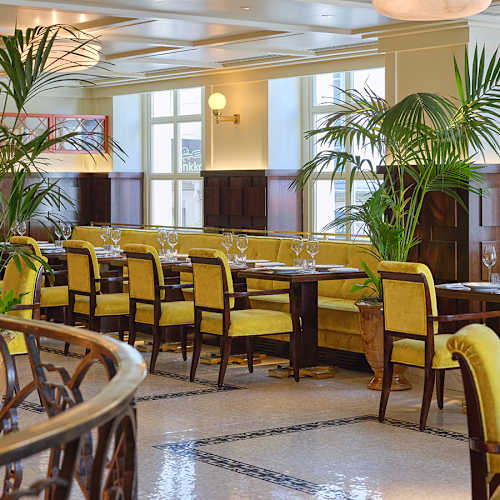Intérieur du restaurant chaleureux et accueillant, avec des chaises rembourrées jaunes, des tables élégamment dressées, des plantes vertes luxuriantes et de grandes fenêtres laissant entrer la lumière naturelle.