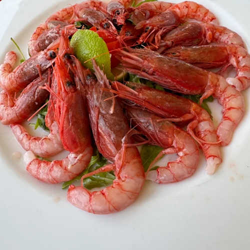 Gambero rosso in Porticello - Restaurant Reviews, Menu and Prices