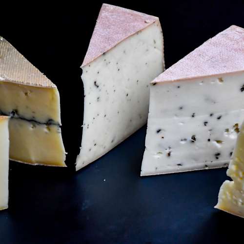 Sélection de fromages artisanaux en quartiers, présentant une variété de textures et de saveurs, incluant un fromage crémeux, un fromage marbré aux herbes, un fromage friable au poivre noir et un fromage ferme à croûte rouge.