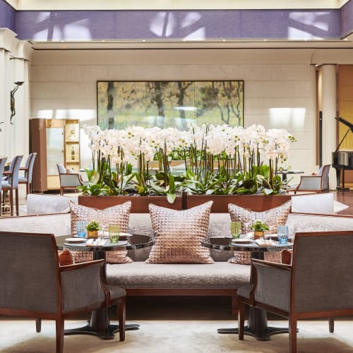Café Jeanne - Park Hyatt Paris - Vendôme in Paris - Restaurant
