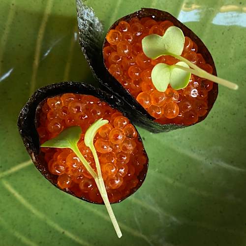 Bonsai Sushi Lounge in Asolo - Restaurant Reviews, Menu and Prices | TheFork