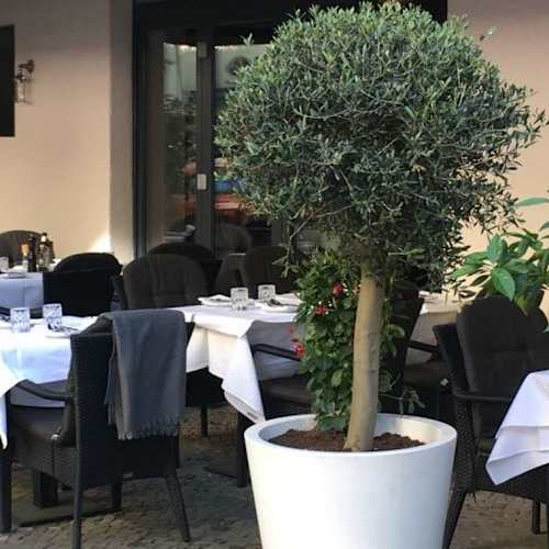 Osteria Culaccino in Berlin - Bewertungen, Speisekarte und Preise | TheFork