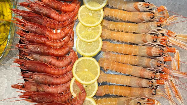 STOPESCE