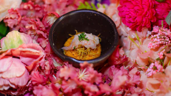 TAKO sushi (ex Wild ginger)
