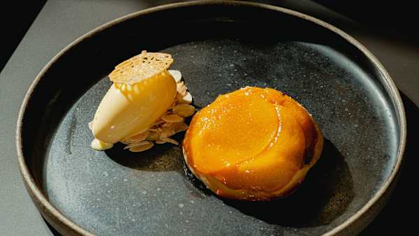 Bottega Tredici