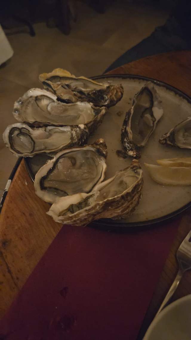 WhatsApp Image 2025-12-31 at 20.28.33.jpeg