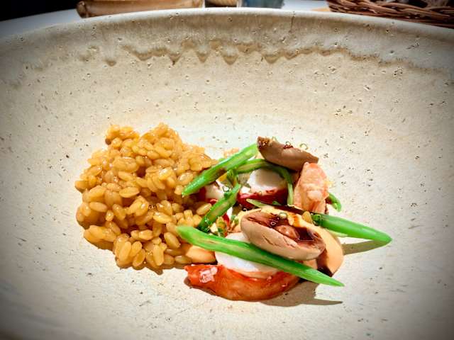 Acquolina in Rome - Restaurant Reviews, Menu and Prices | TheFork