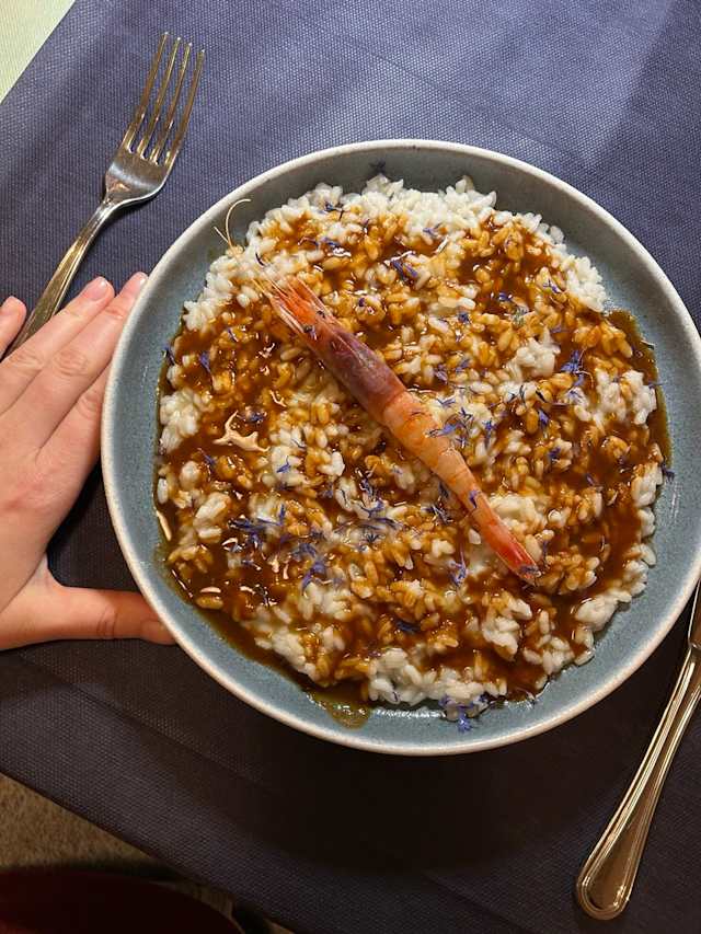 2026-02-13 19.59.35.jpg