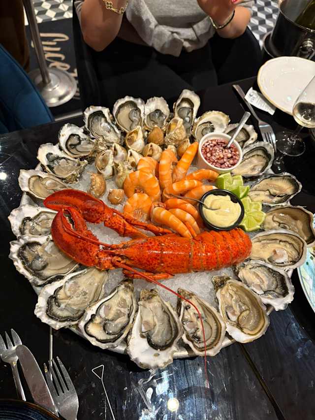 WhatsApp Image 2025-12-07 at 21.31.57.jpeg