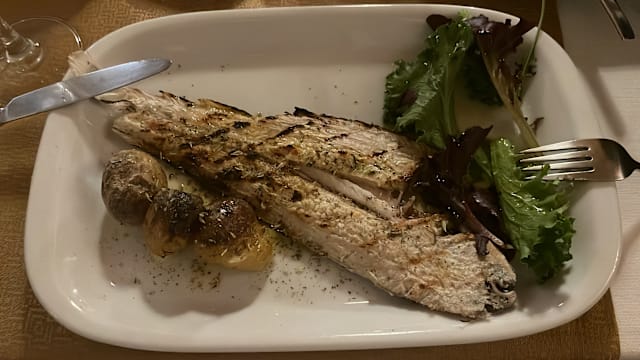 A0026622-3789-4F9B-8BA1-8815790D6B30.jpeg