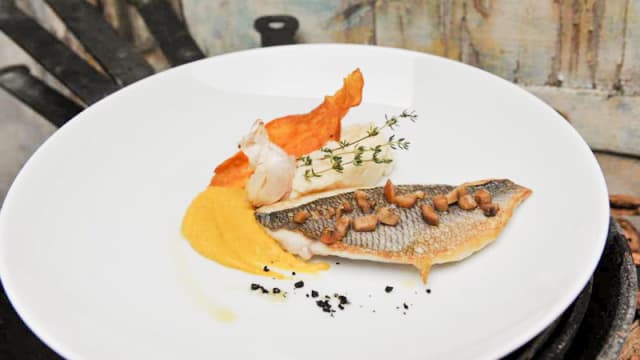 Dorade Royale
