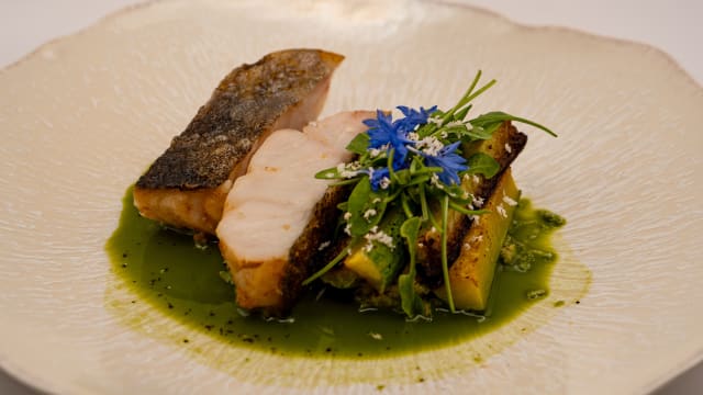 Lieu jaune nacré, courgette violon, bouillon nori