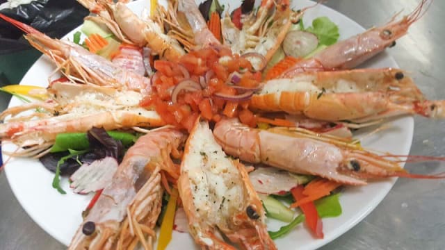 Piatto