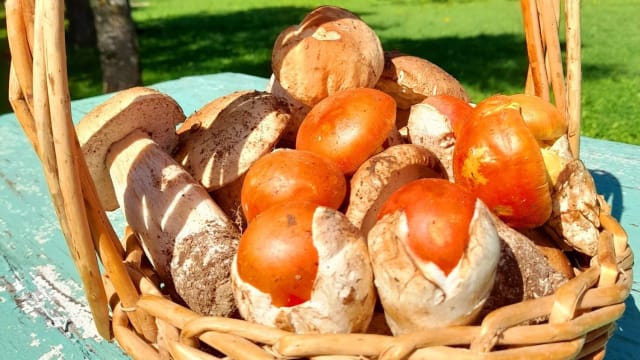 Ovoli reali