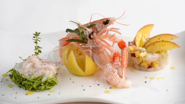 la dichiarazione degli scampi