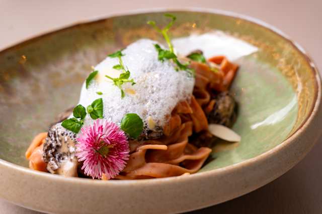 Tagliatelle fraîches à la betterave, sauce aux morilles et émulsion à  l'écorce de citron confit