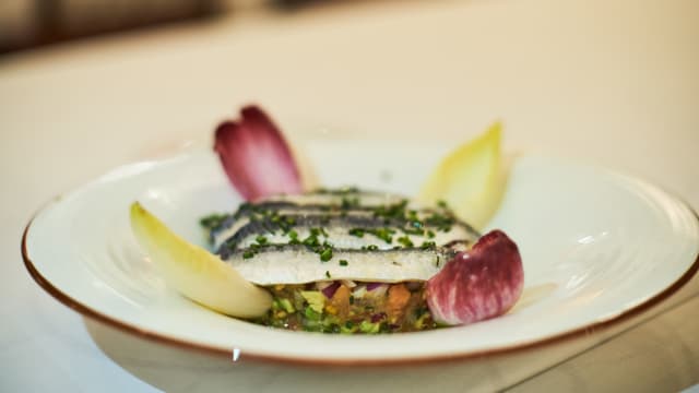 Sugerencia del chef