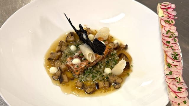Rencontre du tartare de saumon et de la mouillette aux radis roses
