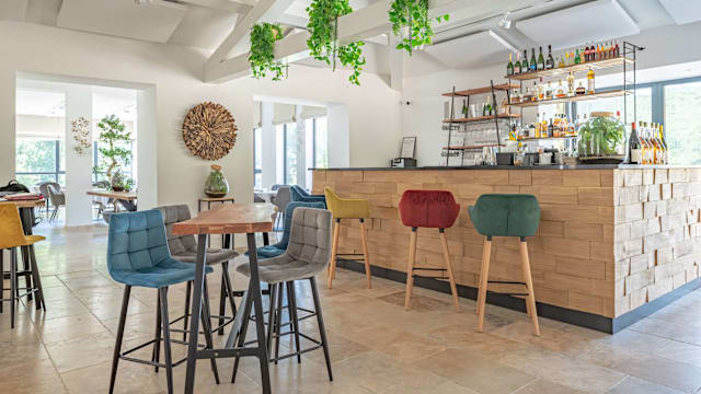 Intérieur moderne et aéré avec un bar bien présenté, des tabourets colorés et des tables en bois, baigné de lumière naturelle et agrémenté de verdure.