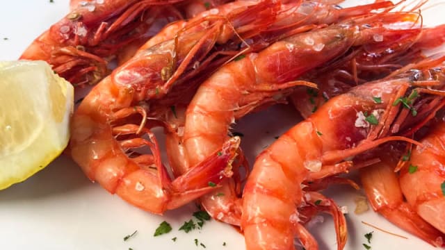 Sugerencia del chef