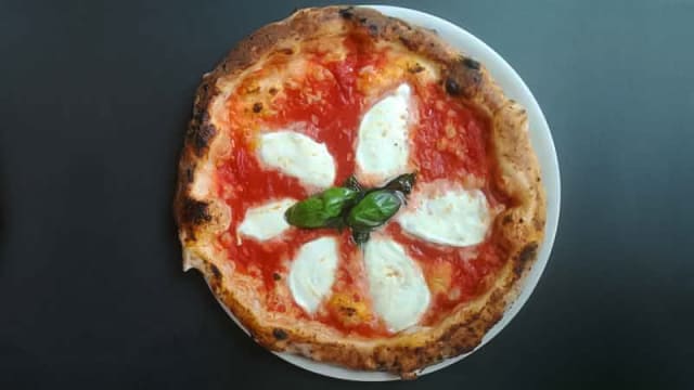 Pizza Dop