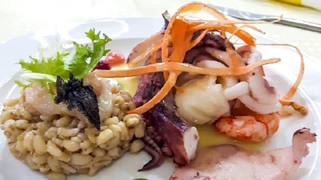 Piatto