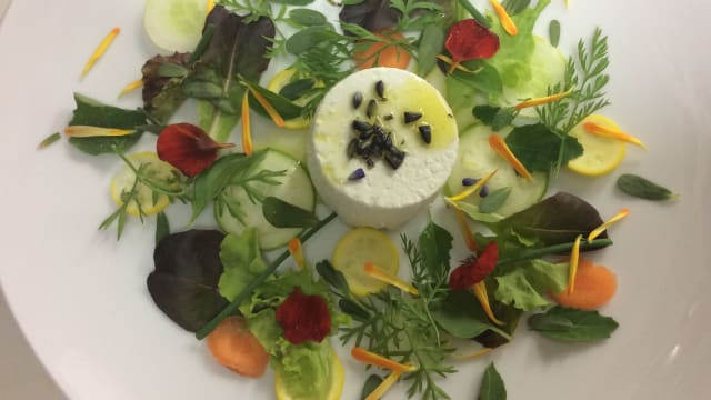 Ricotta di bufala Maremmana e fiori eduli