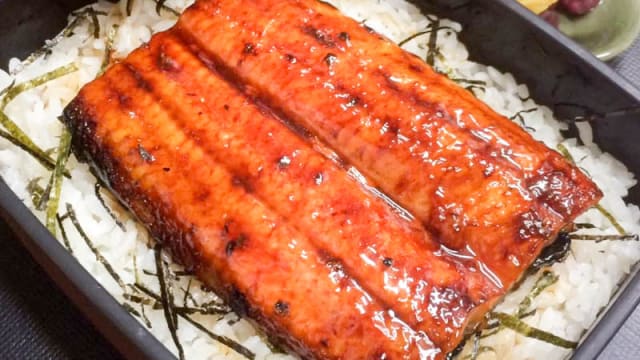 Coffret de riz et d'anguille grillée