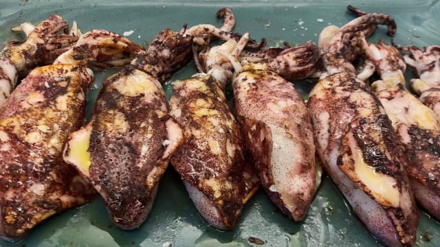 Calamars de potera