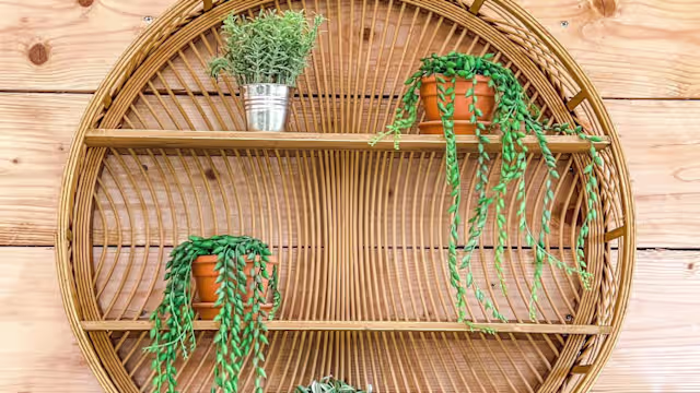 Étagère en bois circulaire avec des plantes en pot, créant une atmosphère chaleureuse et rustique.