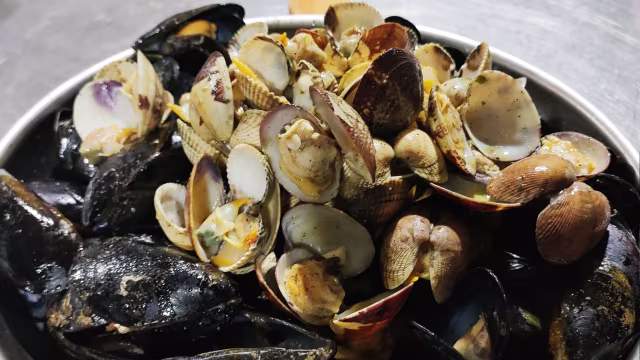 La Sala de Farners, Santa Coloma De Farners