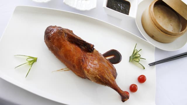 Pato laqueado