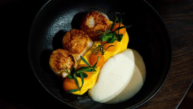 coquille