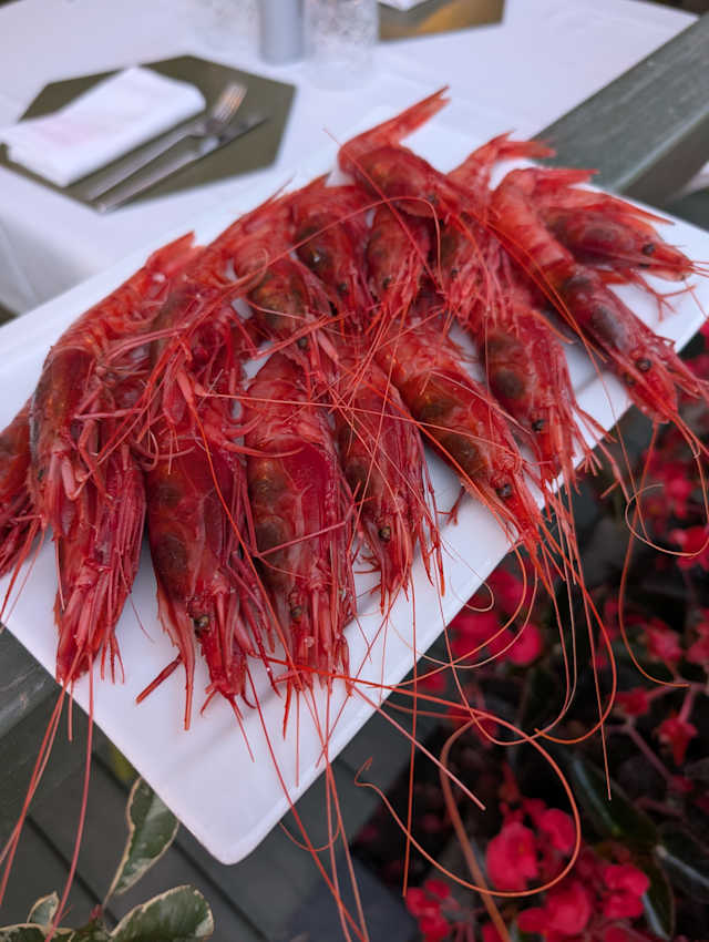 Alici Cucina Mediterranea, Capaccio