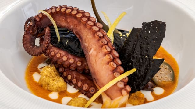 Tentacolo di Polpo Con Coulis di Pomodoro