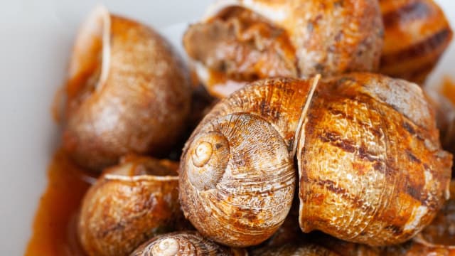 Chiocciole alla Sestese