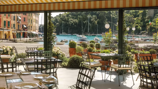 Fascinating Portofino Italy Restaurants Photos
