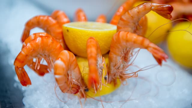 Crevettes roses de Madagascar